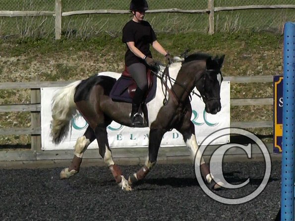 Anna flatwork