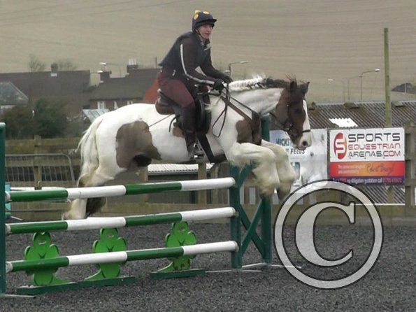 03-26-2014_104442(4)