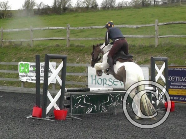 03-26-2014_104442(9)