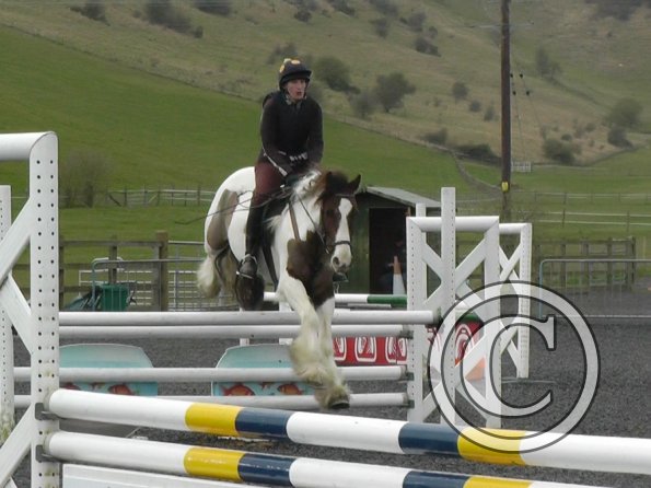 03-26-2014_104953(1)