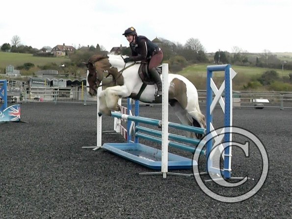 03-26-2014_104953(10)