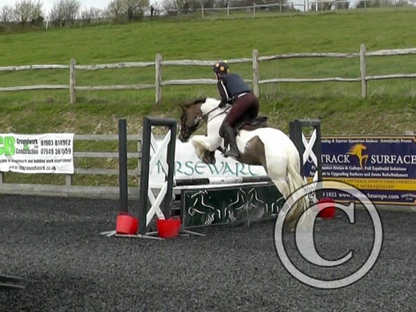 03-26-2014_104953(11)