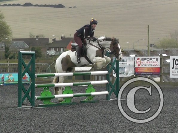 03-26-2014_104953(2)