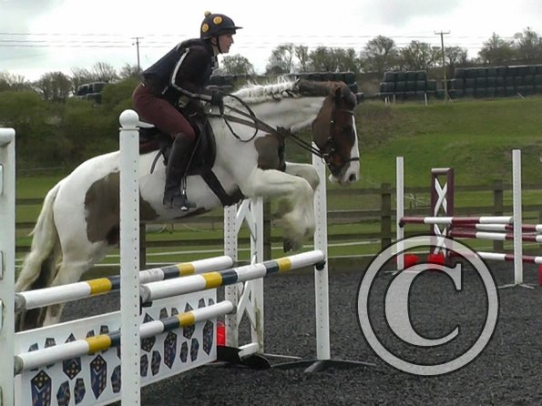 03-26-2014_104953(3)