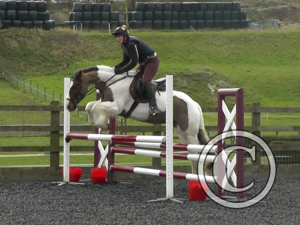 03-26-2014_104953(6)