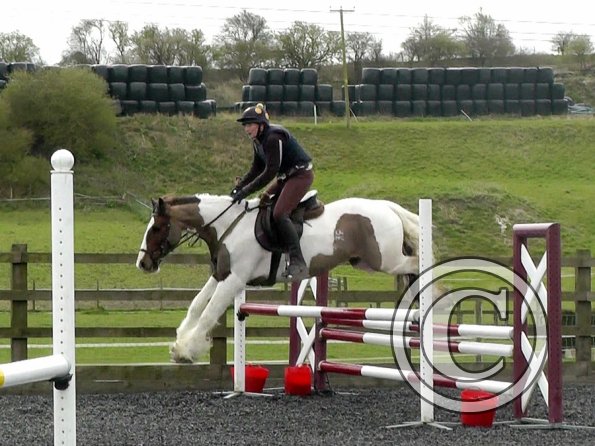 03-26-2014_104953(7)