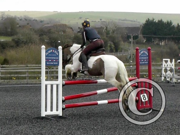 03-26-2014_104953(8)