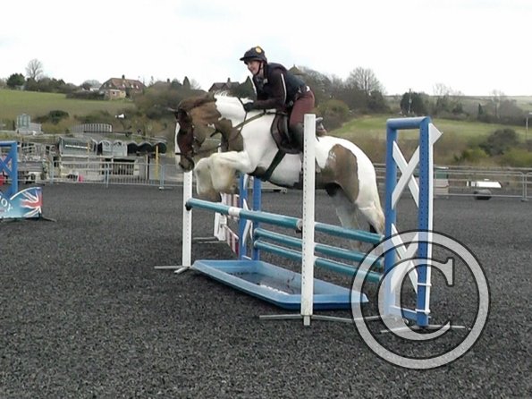 03-26-2014_104953(9)