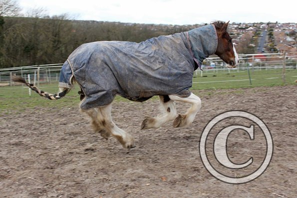 10148011_10152266224067978_1332445522_o