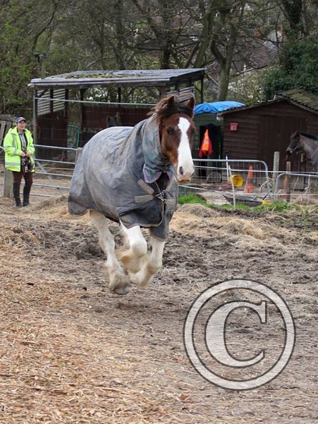 10150326_10152266223552978_441885887_o