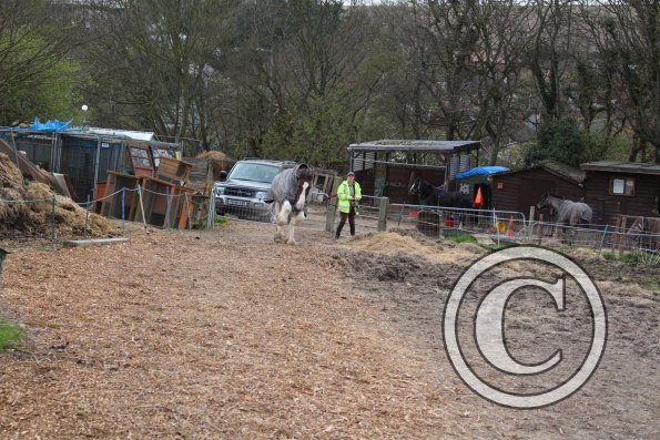 10150403_10152266220812978_636759408_o