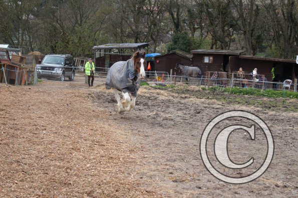 10152154_10152266223227978_1519194138_o