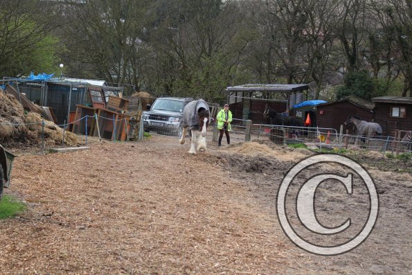 10152245_10152266220962978_1740620309_o