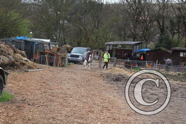 10168710_10152266220452978_1332146048_o