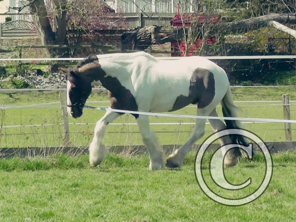 04-15-2015_121151(2)