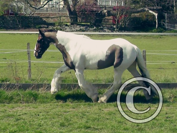 04-15-2015_121658(1)