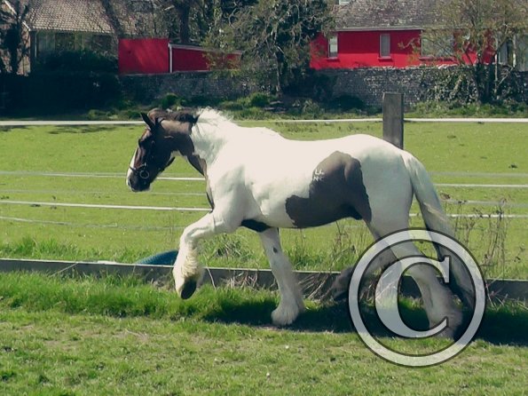 04-15-2015_121658(2)