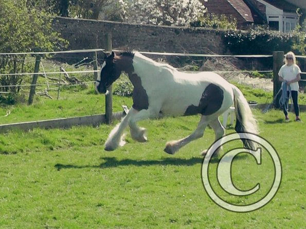 04-15-2015_121658(3)