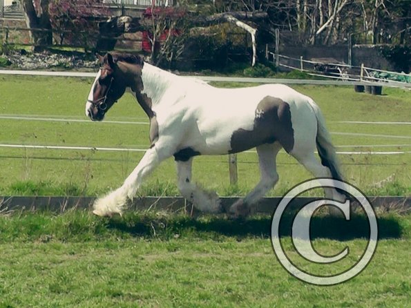 04-15-2015_121820(1)