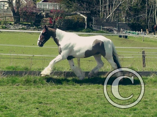 04-15-2015_121820(2)