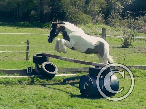 04-15-2015_121820(3)