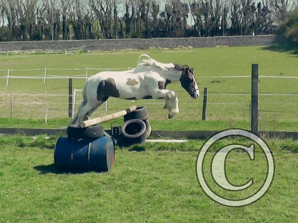 04-15-2015_121905(1)