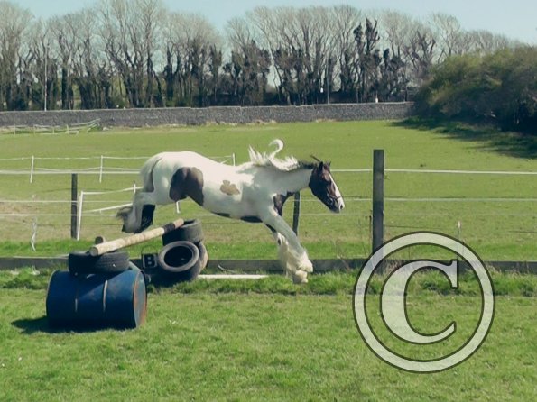 04-15-2015_121905(2)