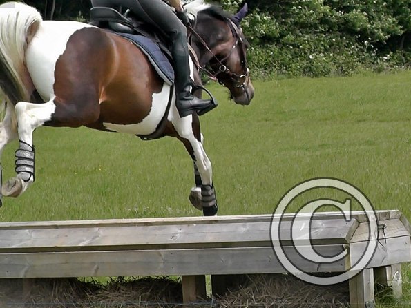 Anna & Ghost Comphurst (1)