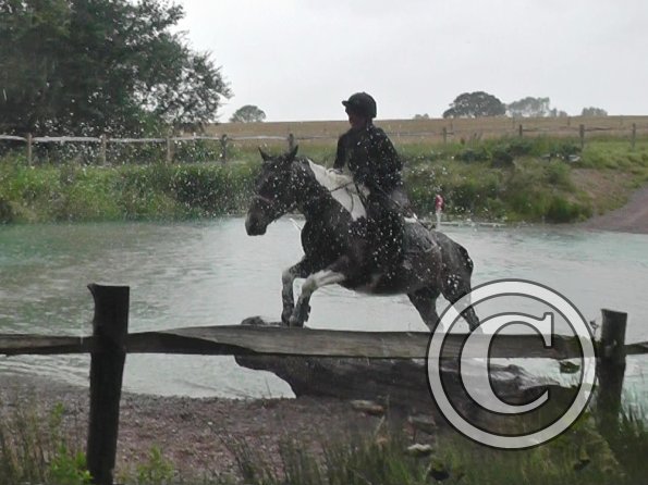 Jumping out of water (2)