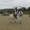 Frankie and Pip canter (3)