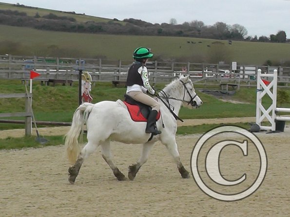 Frankie and Pip trot