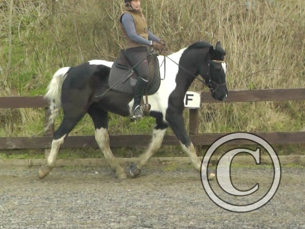 02-09-2014_131743(1)