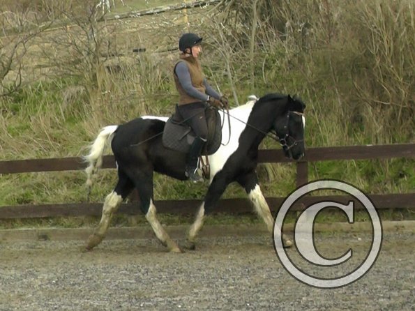 02-09-2014_131743(3)