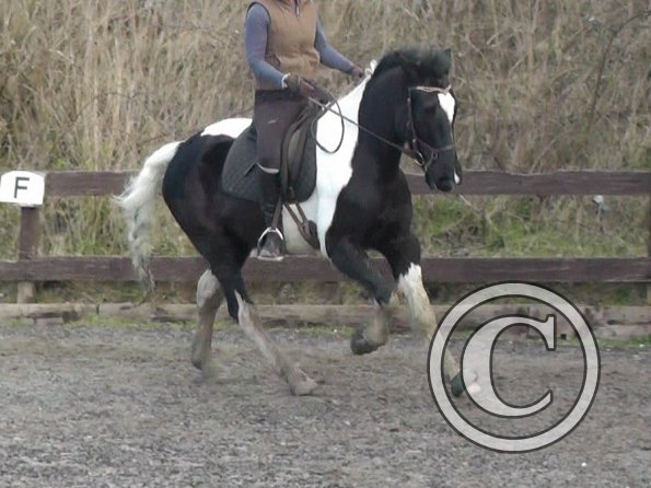 02-09-2014_131743(4)