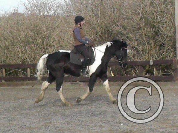 02-09-2014_131743(5)