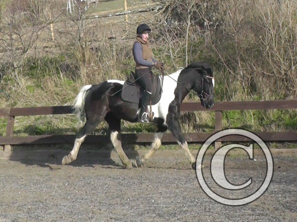 02-09-2014_132659(10)