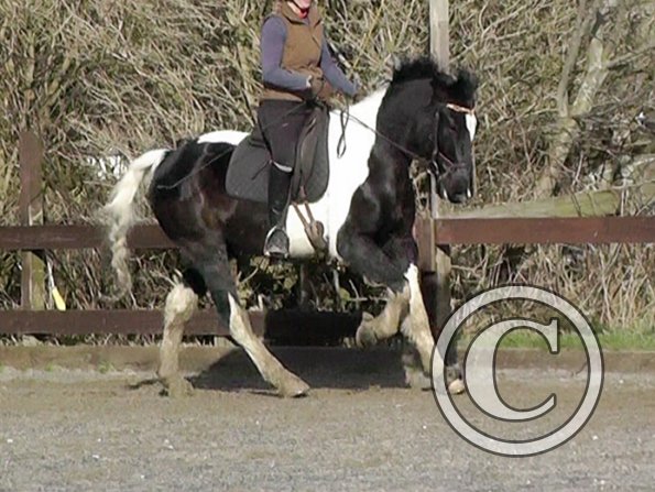 02-09-2014_132659(2)