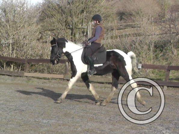 02-09-2014_132659(9)