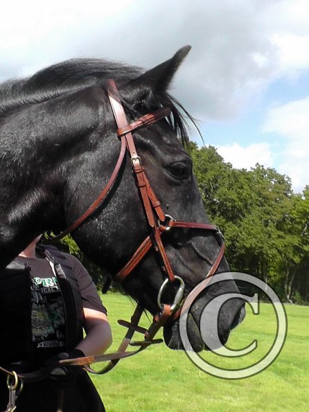 XC JD and Lance (44)