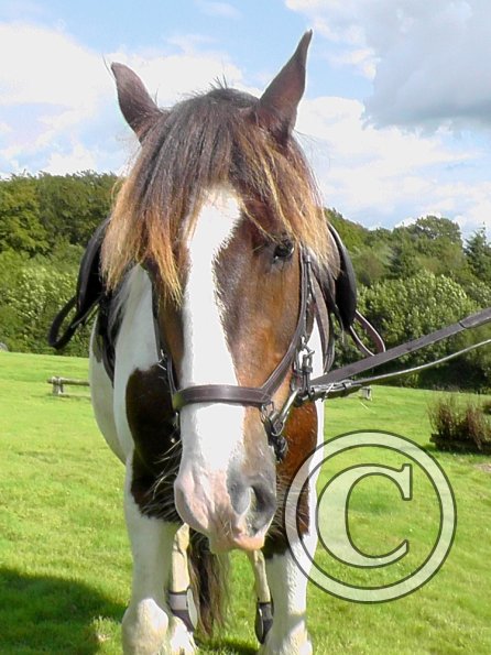 XC JD and Lance (45)