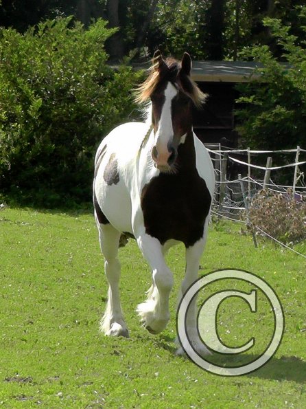 XC JD and Lance (46)