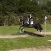 XC Coombelands Teddy and Ghost