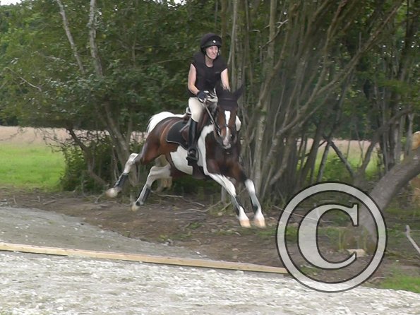 Ghost iz gud at ditch