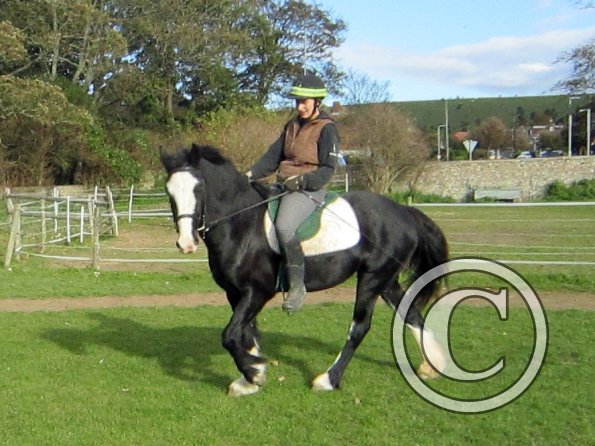 Anna second ride on Jessie (13)