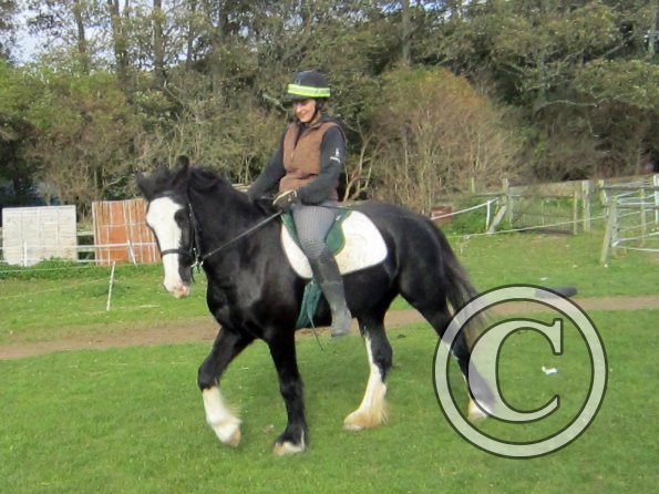 Anna second ride on Jessie (14)