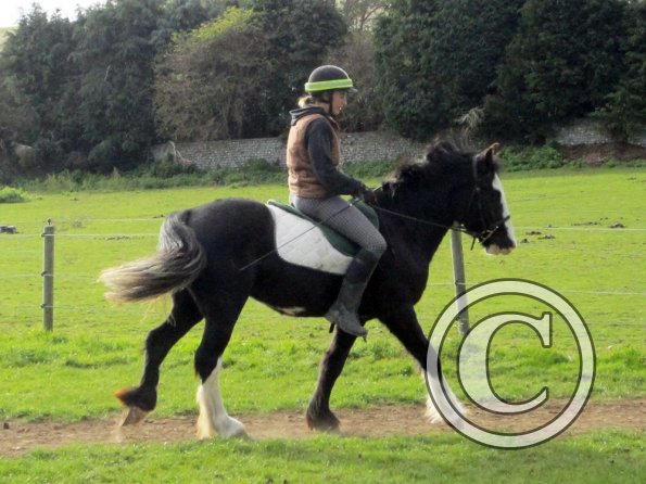 Anna second ride on Jessie (16)