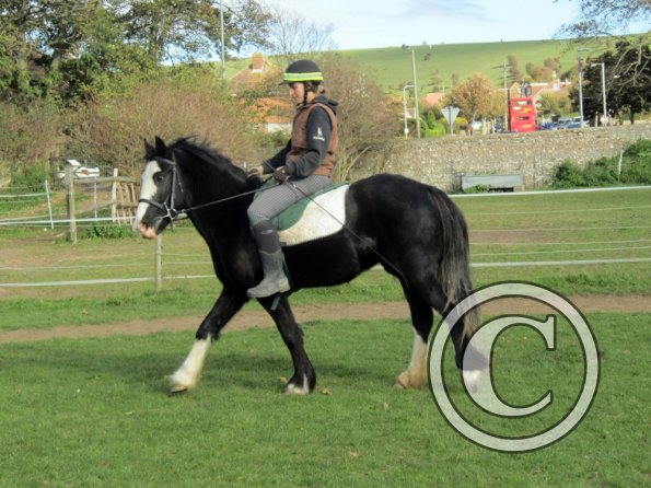 Anna second ride on Jessie (3)