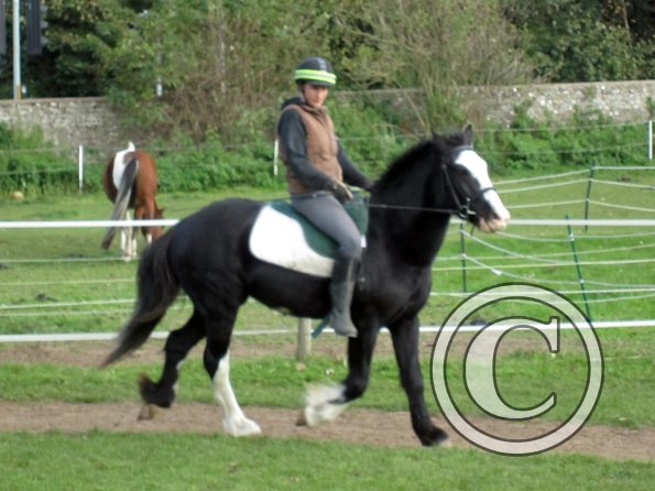 Anna second ride on Jessie (4)