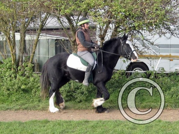 Anna second ride on Jessie (8)