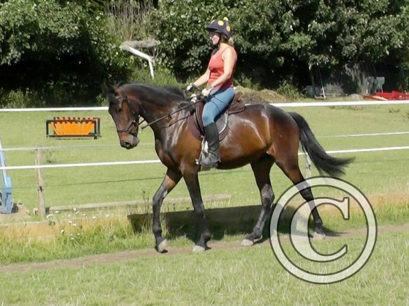 Fluke schooling (14)